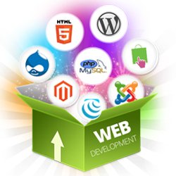 Web Development